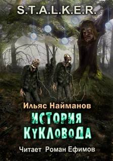 Страж Монолита 3. История Кукловода (S.T.A.L.K.E.R.)